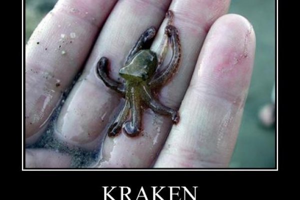 Kraken даркнет рынок