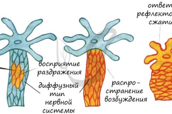 Кракен не работает тор
