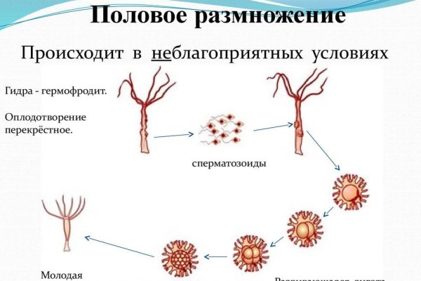 Dark net официальный сайт