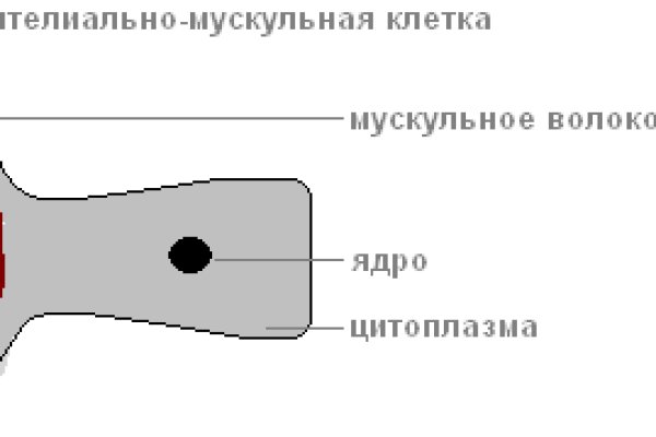 Магазин даркнета