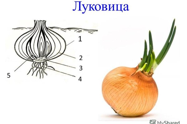 Kraken ссылка onion 2kmp