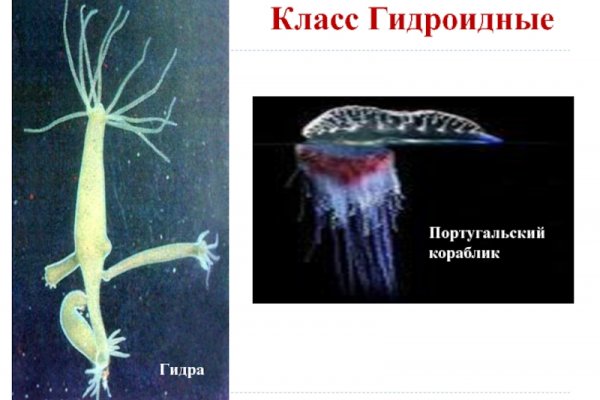 Взломали аккаунт кракен