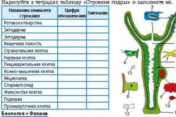 Кракен даркнет ссылка