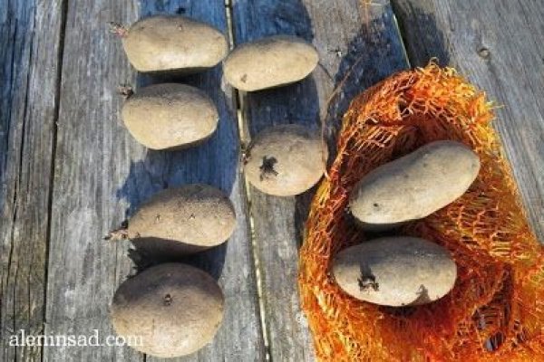 Что такое кракен плейс
