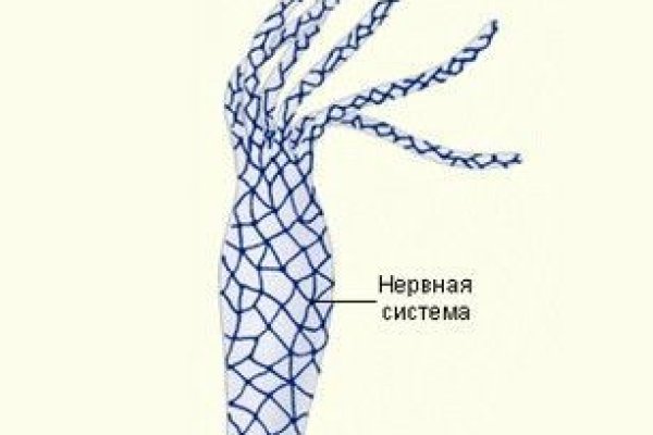 Mega darknet ссылка