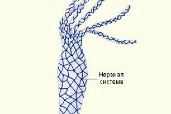 Кракен маркетплейс kr2web in