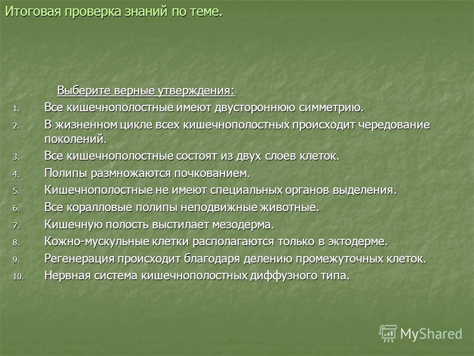 Зайти на сайт кракен